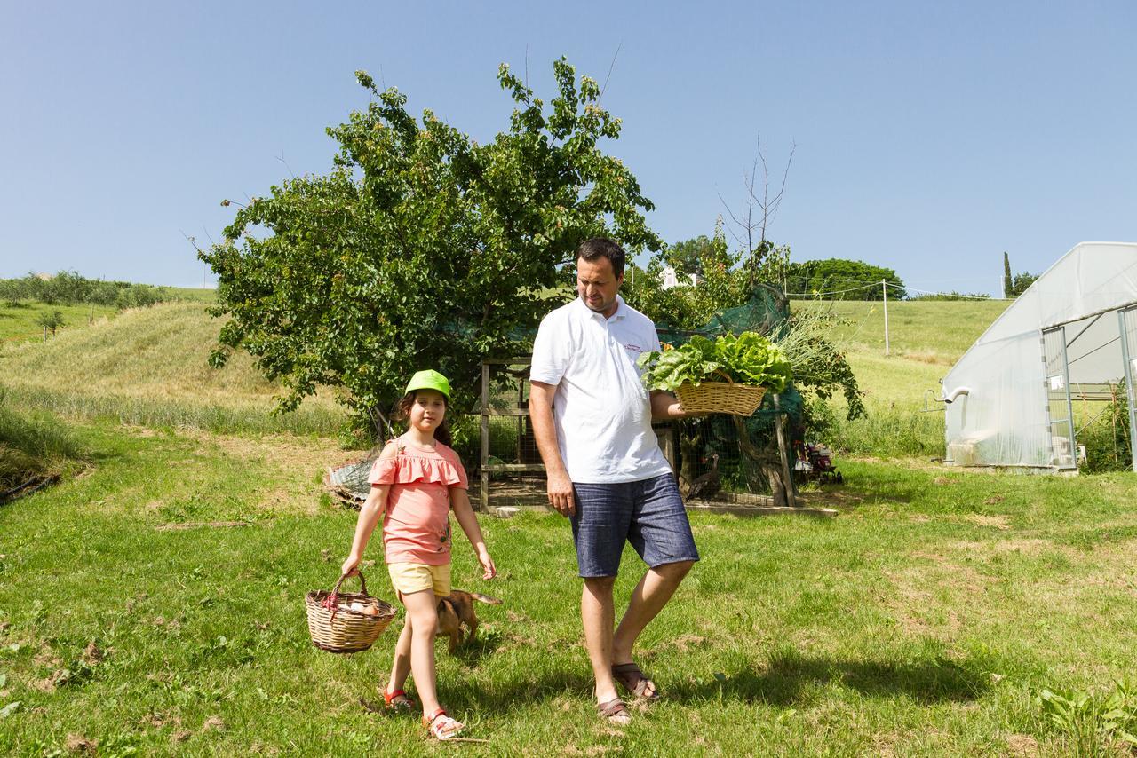 Agriturismo Vecchio Gelso Ortezzano Exterior foto